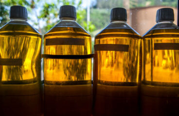 BDLA-Biodiesel-Florida-Samples