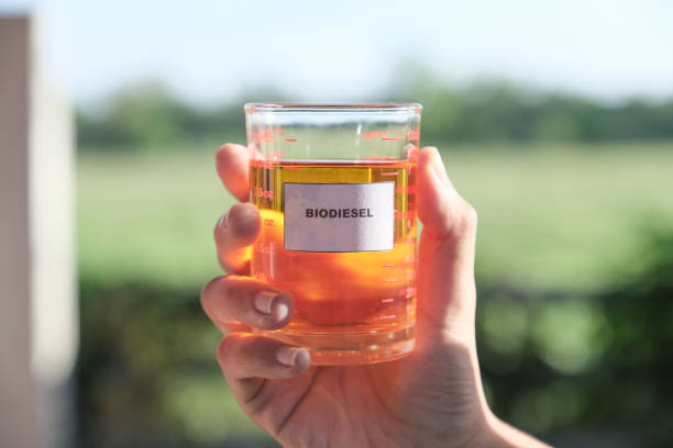 products Biodiesel